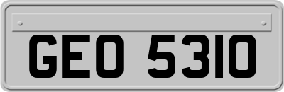 GEO5310