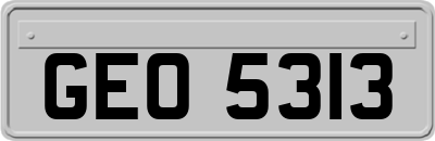 GEO5313
