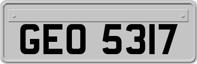 GEO5317