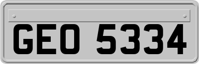 GEO5334