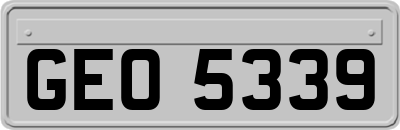 GEO5339