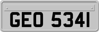 GEO5341