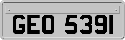 GEO5391