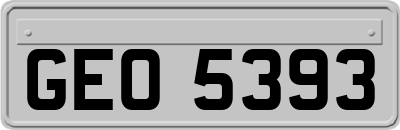 GEO5393