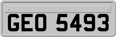 GEO5493