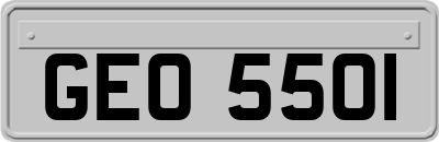 GEO5501