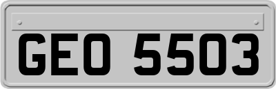 GEO5503