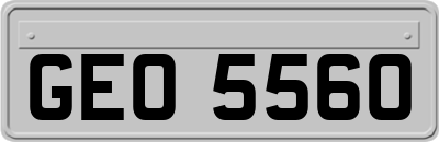 GEO5560