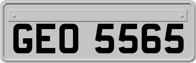 GEO5565