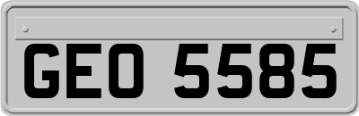 GEO5585