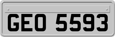 GEO5593
