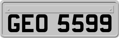 GEO5599