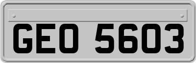 GEO5603