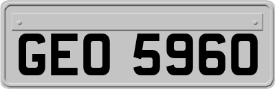 GEO5960