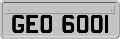 GEO6001
