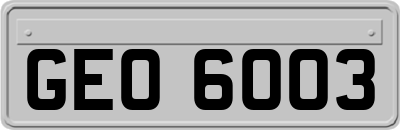 GEO6003