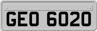 GEO6020