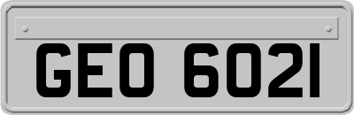 GEO6021