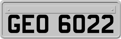 GEO6022
