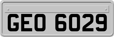 GEO6029