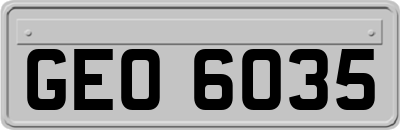 GEO6035