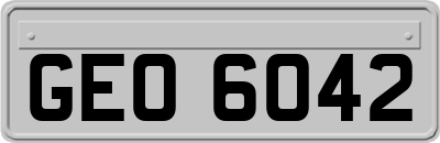 GEO6042