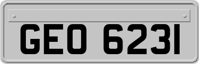 GEO6231