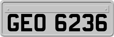 GEO6236