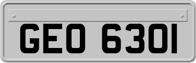 GEO6301
