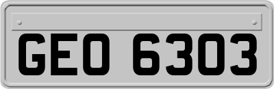 GEO6303