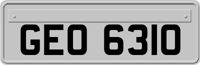 GEO6310