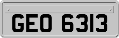 GEO6313