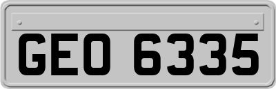GEO6335
