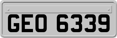GEO6339