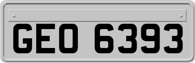 GEO6393