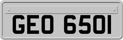 GEO6501