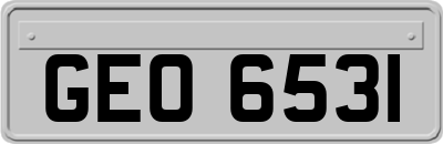 GEO6531