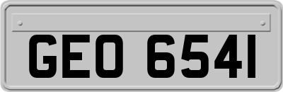 GEO6541