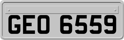 GEO6559