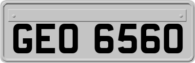 GEO6560