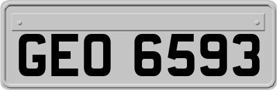 GEO6593