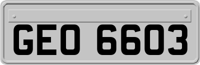 GEO6603