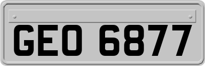 GEO6877