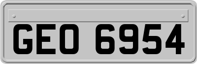GEO6954