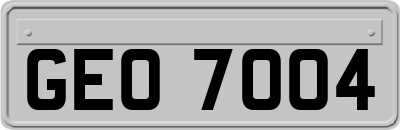 GEO7004
