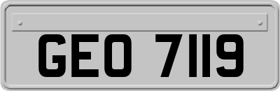 GEO7119