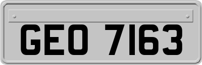 GEO7163