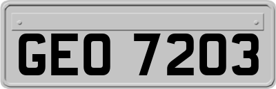 GEO7203
