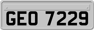 GEO7229
