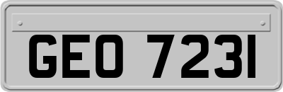 GEO7231